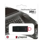 Kingston USB Stick 256GB DTX